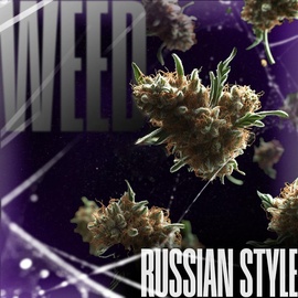 Шишки Russian Style [iBelive grow]