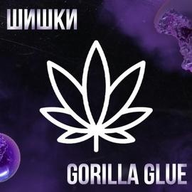 Шишки Gorilla Glue [iBelive grow]