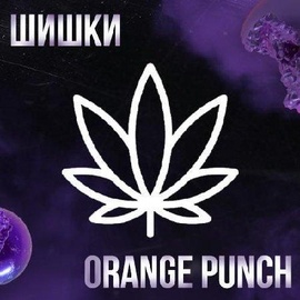 メ Шишки Critical Orange Punch [iBelive grow]メ