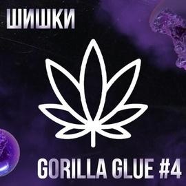 メ Шишки Gorilla Glue #4 [iBelive grow]メ