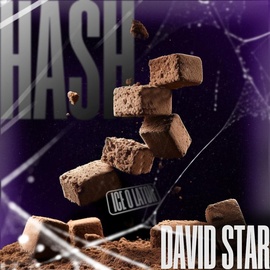 メ Гашиш ice-o-lator | David Starメ